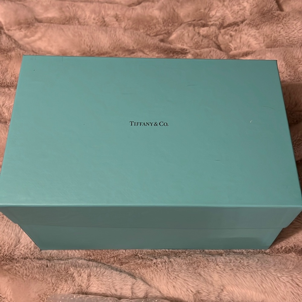 Brand new Tiffany & Co. set of two crystal stemware champagne flutes